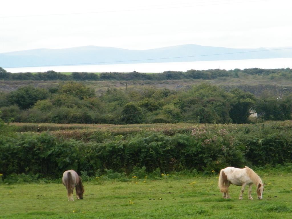 Ballas Farm Country Guest House Bridgend  Exterior foto